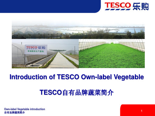 乐购-tesco农产品自由品牌开发