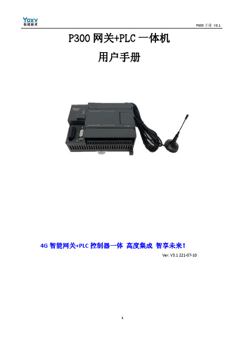 P300手册V3.1说明书