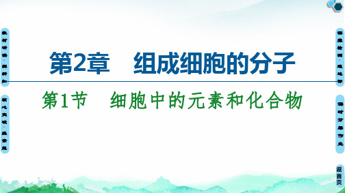 【新教材】细胞中的元素和化合物 课件 【新教材】人教版高中生物必修第一册