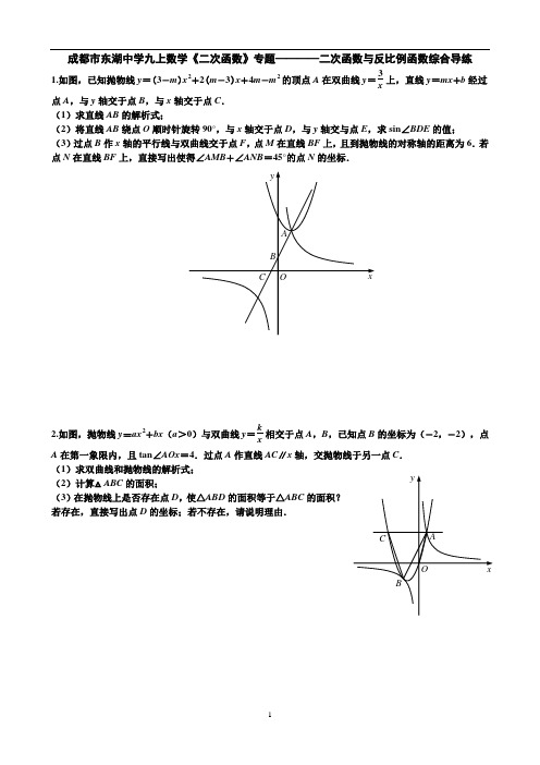 成都市东湖中学九上数学《二次函数》专题————二次函数与反比例函数综合导练