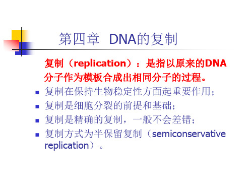 分子遗传学3