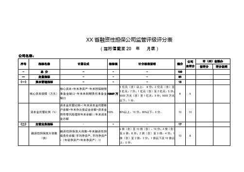 XX省融资性担保公司监管评级评分表