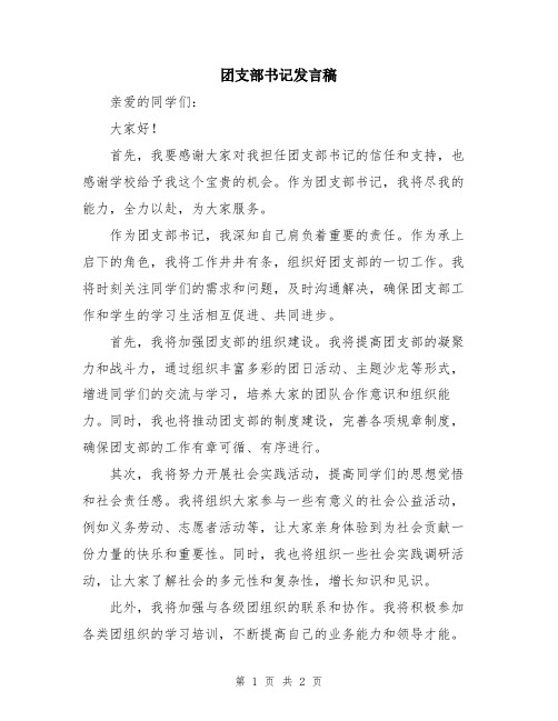 团支部书记发言稿