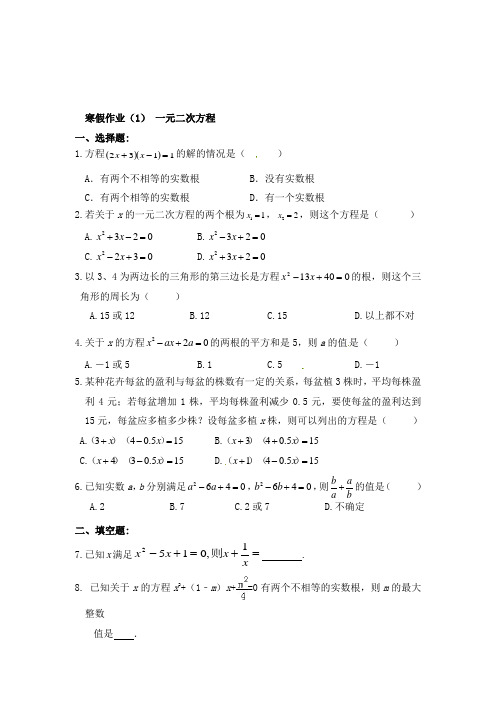 最新人教版初中九年级数学上册寒假作业2