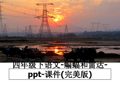 最新四年级下语文-蝙蝠和雷达-ppt-课件(完美版)PPT课件