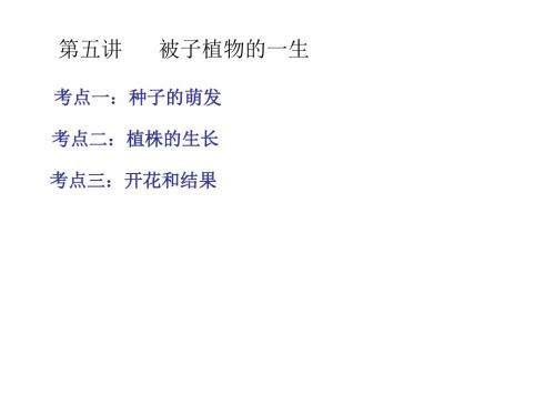 第五讲被子植物的一生