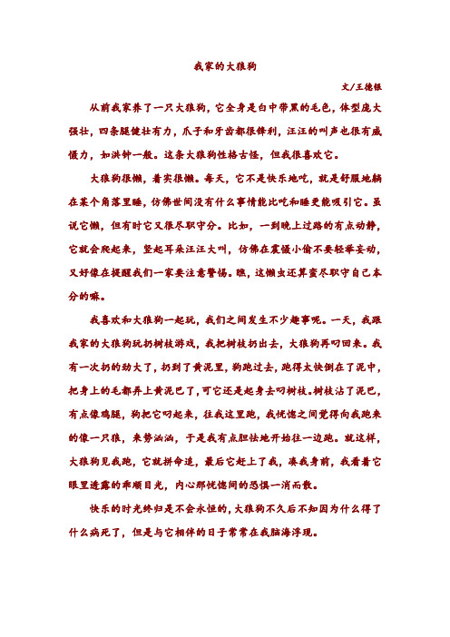 我家的大狼狗