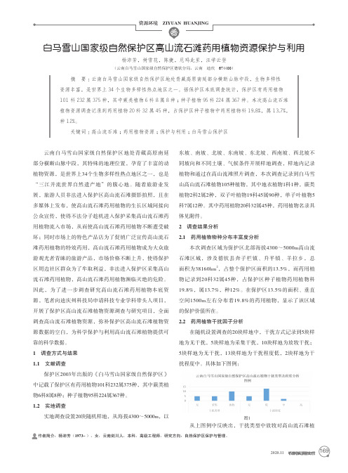 白马雪山国家级自然保护区高山流石滩药用植物资源保护与利用