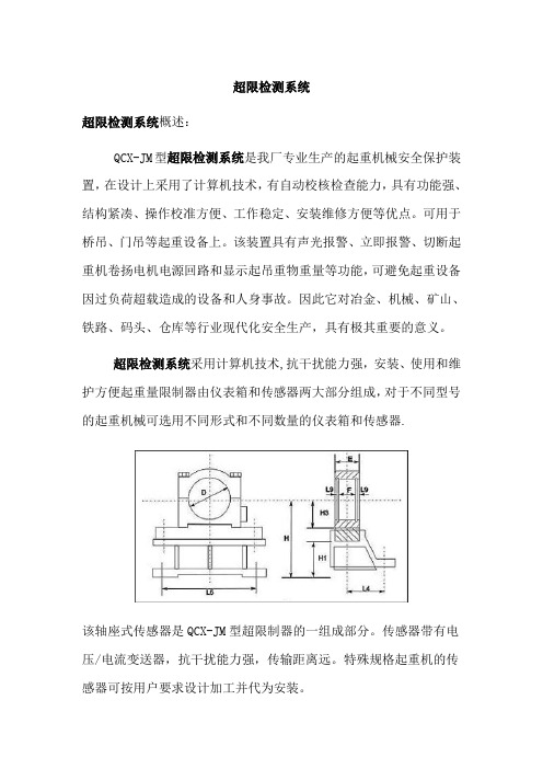 超限检测系统