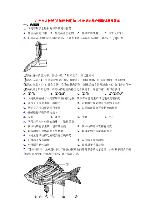 广州市人教版(八年级上册)初二生物期末综合题测试题及答案