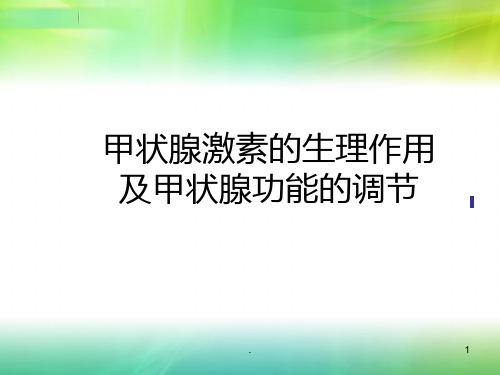 甲状腺及甲状旁腺激素PPT课件