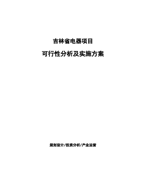 吉林省电器项目可行性分析及实施方案