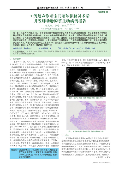 1例超声诊断室间隔缺损修补术后并发肺动脉瓣赘生物病例报告