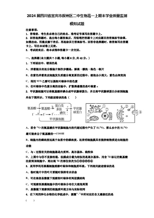 2024届四川省宜宾市叙州区二中生物高一上期末学业质量监测模拟试题含解析