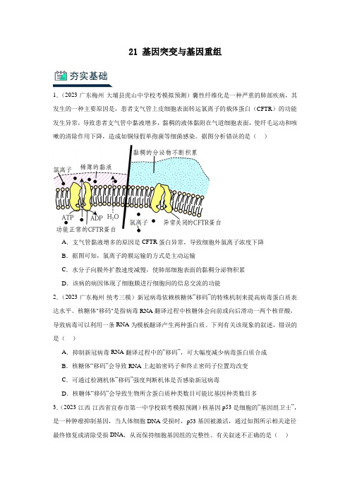 人教版2024年高考一轮复习生物《21基因突变与基因重组》分层训练