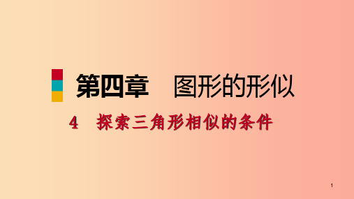 2019年秋九年级数学上册第四章图形的相似4探索三角形相似的条件第4课时黄金分割习题课件(新版)北师