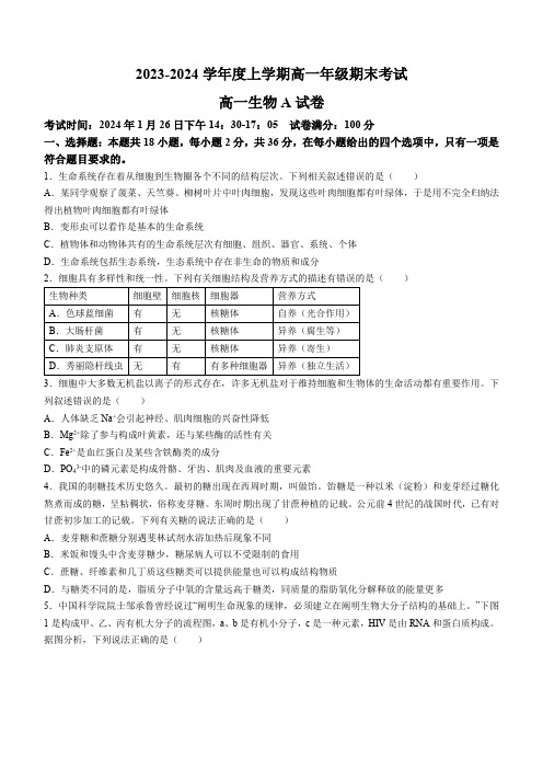 湖北省新高考联考2023-2024学年高一上学期期末考试生物试卷(含部分解析)