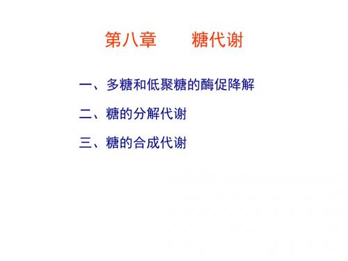 第8章糖代谢-1