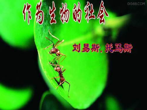 高中语文同步课件:4.12《作为生物的社会》38张(人教新课标必修5)
