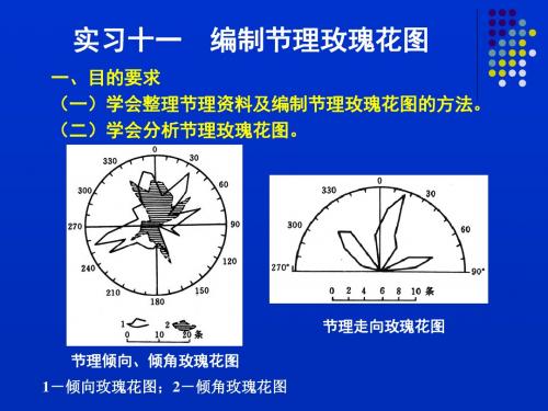 实验11 编制节理玫瑰花图