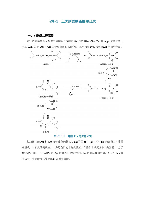 e31-1五大家族氨基酸的合成