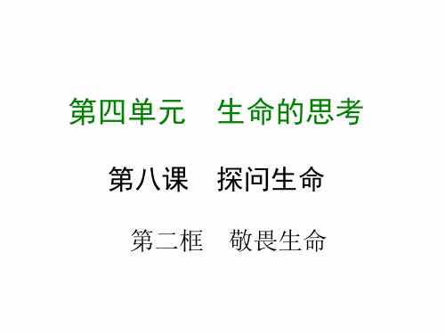 初中政治七年级上册课件 敬畏生命