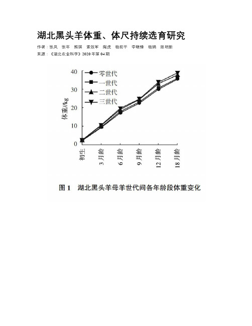 湖北黑头羊体重、体尺持续选育研究