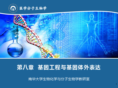 8第八章 基因工程与基因体外表达