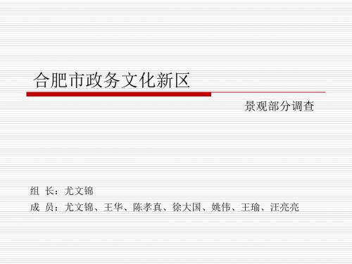 合肥市政务文化新区景观调研