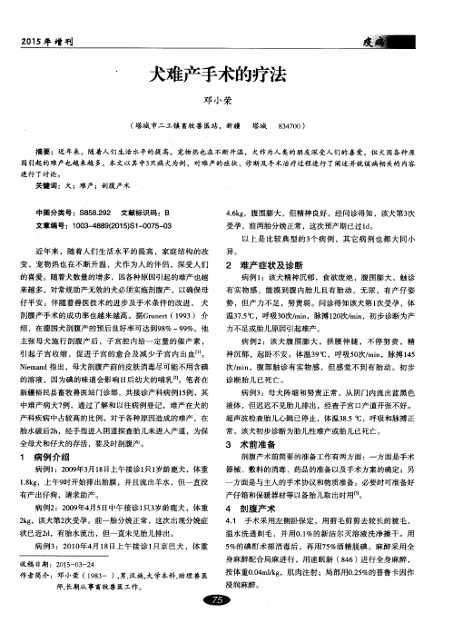 犬难产手术的疗法
