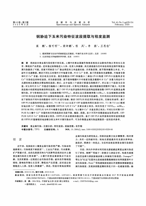 铜胁迫下玉米污染特征波段提取与程度监测