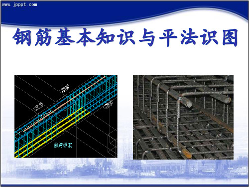 钢筋基本知识PPT课件