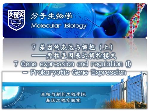 7基因的表达与调控上——原核基因表达