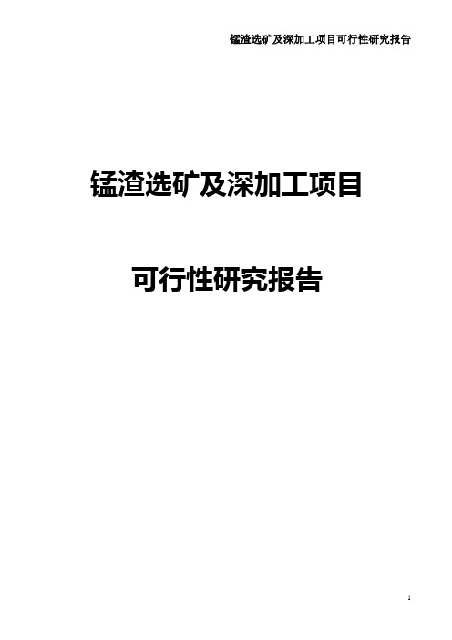 锰渣选矿及深加工项目可行性研究报告