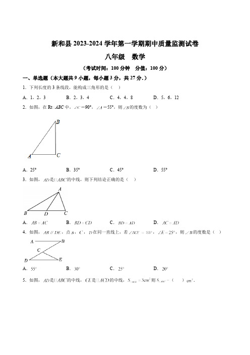 新疆阿克苏地区新和县2023-2024学年八年级上学期期中考试数学试卷(含答案)