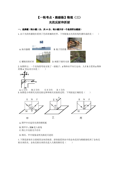 物理3：光的反射与折射-浙教版中考科学第一轮复习专训