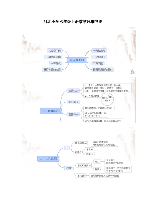 河北小学六年级上册数学思维导图