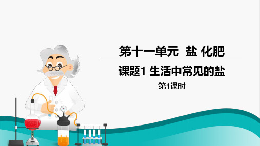 第十一单元课题1生活中常见的盐第一课时+氯化钠-2022-2023学年九年级化学人教版下册