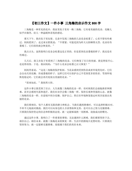 【初三作文】一件小事 三角梅的启示作文800字