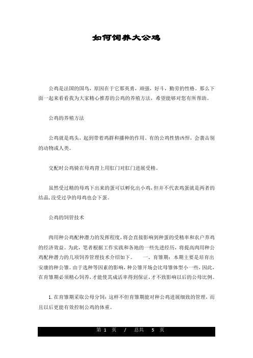 如何饲养大公鸡(汇总)