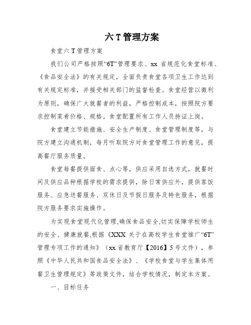 六T管理方案