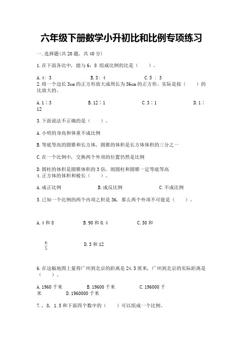 六年级下册数学小升初比和比例专项练习加答案(培优)