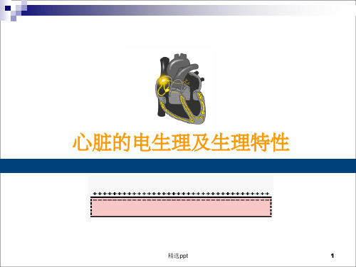 心脏的电生理学及生理特性ppt课件