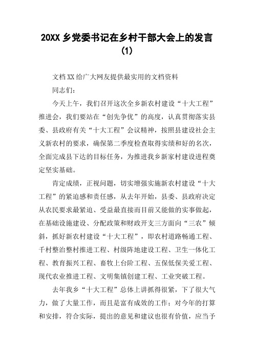 20XX乡党委书记在乡村干部大会上的发言(1)