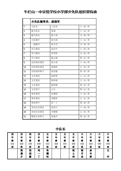 少先队组织架构表