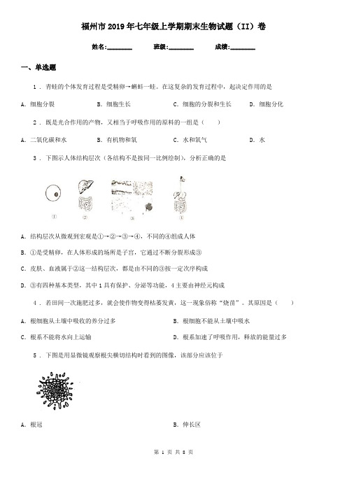 福州市2019年七年级上学期期末生物试题(II)卷