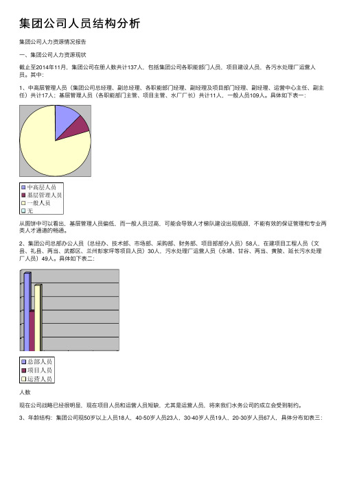 集团公司人员结构分析