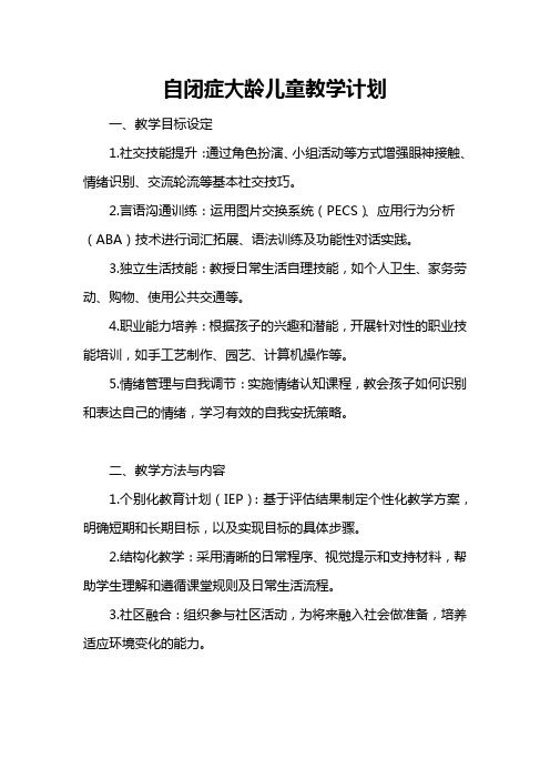 自闭症大龄儿童教学计划