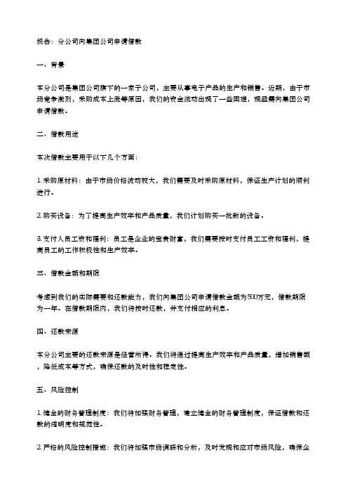 分公司向集团公司申请借款的报告