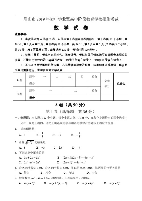 2019年四川省眉山市高中阶段教育学校招生考试数学试卷及答案